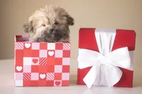 processed/537c498d-51fe-4d92-9c0a-9e969bc5d3f4/listing/b3c64f9b-df76-48ad-852a-0462bf351278/f23fb8a5-edaf-4970-be93-f48890120819