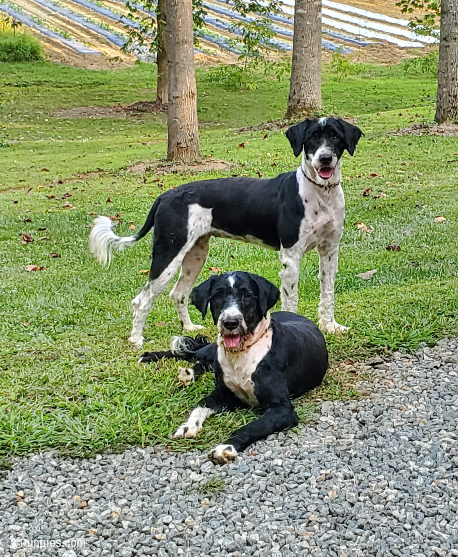 processed/537dfca2-a479-459e-9644-50c56258738c/facility/554fc00e-35a2-4d06-b586-a6150760f5d4