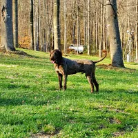 processed/537dfca2-a479-459e-9644-50c56258738c/facility/c43452c2-be1e-4862-bb2d-a73292c25620