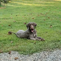 processed/537dfca2-a479-459e-9644-50c56258738c/facility/dc650f27-5f12-4ada-8f48-e2b4c225152a