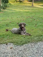 processed/537dfca2-a479-459e-9644-50c56258738c/facility/dc650f27-5f12-4ada-8f48-e2b4c225152a