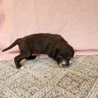 processed/537dfca2-a479-459e-9644-50c56258738c/listing/1da220a9-8d91-499e-a7fb-6d623bb0e59c/18be9287-df10-4db5-bd83-b2601f6423fa