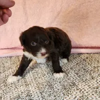 processed/537dfca2-a479-459e-9644-50c56258738c/listing/1da220a9-8d91-499e-a7fb-6d623bb0e59c/56c393bc-ee56-4a76-a767-9d24b791d15b