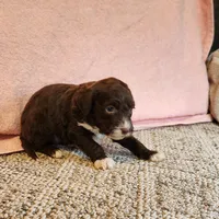 processed/537dfca2-a479-459e-9644-50c56258738c/listing/1da220a9-8d91-499e-a7fb-6d623bb0e59c/9823e3d5-77e9-4f54-8a85-9b8616196f3f