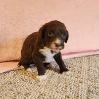 processed/537dfca2-a479-459e-9644-50c56258738c/listing/1da220a9-8d91-499e-a7fb-6d623bb0e59c/e4a7f862-6637-4f2c-8754-e761675886f7