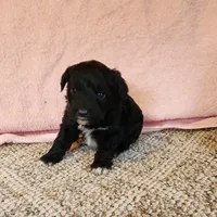 processed/537dfca2-a479-459e-9644-50c56258738c/listing/2d010583-8673-4746-8ed4-2a9762bdb509/10741528-f029-4c74-95a2-3aa9e555a91a