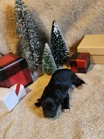 processed/537dfca2-a479-459e-9644-50c56258738c/listing/2d010583-8673-4746-8ed4-2a9762bdb509/3bb6cace-0769-472b-bef0-cf26d58f4a75