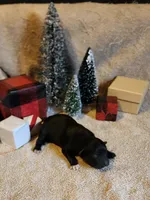 processed/537dfca2-a479-459e-9644-50c56258738c/listing/2d010583-8673-4746-8ed4-2a9762bdb509/a97e1c55-fff0-4c5b-aa0e-e156f8c6c988