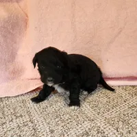 processed/537dfca2-a479-459e-9644-50c56258738c/listing/2d010583-8673-4746-8ed4-2a9762bdb509/c75ae8a9-df65-49e9-84d1-80afbc3472b4