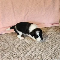 processed/537dfca2-a479-459e-9644-50c56258738c/listing/3f3a4b1c-65ce-4de5-8a03-688baf0770c5/2fd8c70e-e592-46f1-aa51-fcc3937a262b