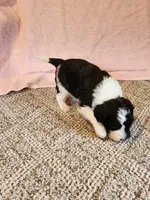 processed/537dfca2-a479-459e-9644-50c56258738c/listing/3f3a4b1c-65ce-4de5-8a03-688baf0770c5/94f18815-cef3-4242-8c4c-f9ad5786395d