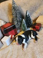 processed/537dfca2-a479-459e-9644-50c56258738c/listing/3f3a4b1c-65ce-4de5-8a03-688baf0770c5/f6a9f16d-b221-4d3d-8d3f-921e237d6625