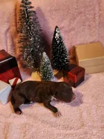 processed/537dfca2-a479-459e-9644-50c56258738c/listing/745a0642-5bd9-4dd9-b3cf-bf21ca4011ab/17abbeb7-9422-47f8-bf58-677ec84482c5