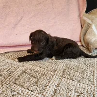 processed/537dfca2-a479-459e-9644-50c56258738c/listing/745a0642-5bd9-4dd9-b3cf-bf21ca4011ab/4d7d9e6c-94e5-4efc-99b2-c3c8832c186c