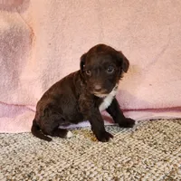 processed/537dfca2-a479-459e-9644-50c56258738c/listing/745a0642-5bd9-4dd9-b3cf-bf21ca4011ab/8d57d0b5-83b6-49e5-9d85-827816ff7ab2