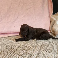 processed/537dfca2-a479-459e-9644-50c56258738c/listing/745a0642-5bd9-4dd9-b3cf-bf21ca4011ab/97250038-b953-45cf-9128-ccb04255fef6