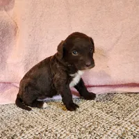 processed/537dfca2-a479-459e-9644-50c56258738c/listing/745a0642-5bd9-4dd9-b3cf-bf21ca4011ab/af957e38-9391-493d-9280-c01b0cf8658d