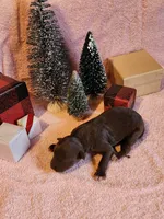 processed/537dfca2-a479-459e-9644-50c56258738c/listing/745a0642-5bd9-4dd9-b3cf-bf21ca4011ab/ea3f336e-378c-4318-bc3e-82727d7a264f