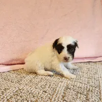 processed/537dfca2-a479-459e-9644-50c56258738c/listing/74c93037-c9a5-4d40-ad90-41043aca355e/474d2dee-affe-4566-a3af-634568f07865