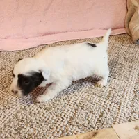 processed/537dfca2-a479-459e-9644-50c56258738c/listing/74c93037-c9a5-4d40-ad90-41043aca355e/63b66736-0733-4141-8a2a-bb0dc386691c