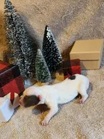 processed/537dfca2-a479-459e-9644-50c56258738c/listing/74c93037-c9a5-4d40-ad90-41043aca355e/79be0920-b1cf-41fa-9988-c8cf2bb10c06