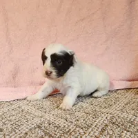 processed/537dfca2-a479-459e-9644-50c56258738c/listing/74c93037-c9a5-4d40-ad90-41043aca355e/97b7c2f9-9dbc-4c9f-9161-799d75c68efb