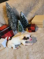 processed/537dfca2-a479-459e-9644-50c56258738c/listing/74c93037-c9a5-4d40-ad90-41043aca355e/b7fbc431-7ba6-41ac-bdf1-0e938cd7aace