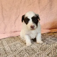 processed/537dfca2-a479-459e-9644-50c56258738c/listing/74c93037-c9a5-4d40-ad90-41043aca355e/e30d3099-ebe4-418e-9a7b-9ccb2e63a0d8