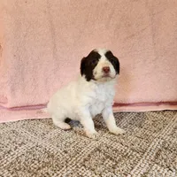 processed/537dfca2-a479-459e-9644-50c56258738c/listing/9e02e13a-b96e-4830-aab9-ed35cb44152e/7e0d52b6-7a33-4c5f-81f5-5e5934bdf4a8