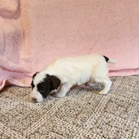 processed/537dfca2-a479-459e-9644-50c56258738c/listing/9e02e13a-b96e-4830-aab9-ed35cb44152e/80438021-7c66-4330-9e0d-b75f8c82cad3