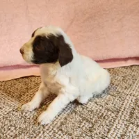 processed/537dfca2-a479-459e-9644-50c56258738c/listing/9e02e13a-b96e-4830-aab9-ed35cb44152e/a1930b37-10c9-4609-89b2-4647702f4083