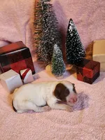 processed/537dfca2-a479-459e-9644-50c56258738c/listing/9e02e13a-b96e-4830-aab9-ed35cb44152e/bcecaa2a-f46c-4c4e-990b-4b68b5cce23b