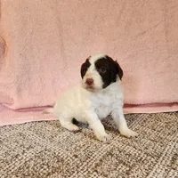 processed/537dfca2-a479-459e-9644-50c56258738c/listing/9e02e13a-b96e-4830-aab9-ed35cb44152e/eaefe1f2-7a2f-4370-80f2-fe2154250c7c