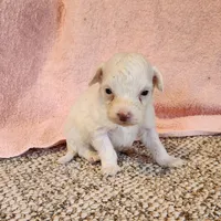 processed/537dfca2-a479-459e-9644-50c56258738c/listing/a8ebad1d-a8f6-43b2-a3e4-461cf5d75409/f3261011-f6a7-48a1-b7d0-368f6f8376ef