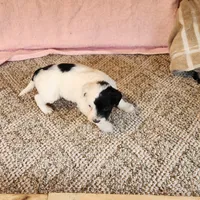 processed/537dfca2-a479-459e-9644-50c56258738c/listing/ce4e0142-6357-4a5d-805e-8d3ed9d71085/64de6a9f-ee24-46e5-8daa-5de1ff35cfff