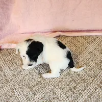 processed/537dfca2-a479-459e-9644-50c56258738c/listing/ce4e0142-6357-4a5d-805e-8d3ed9d71085/b4546b8d-2974-4c7b-8d72-11dbd62dd33e