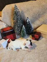 processed/537dfca2-a479-459e-9644-50c56258738c/listing/ce4e0142-6357-4a5d-805e-8d3ed9d71085/b74ac21d-8dfb-4c29-8c70-e8508abbc855