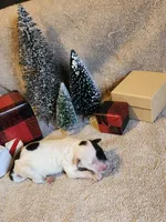 processed/537dfca2-a479-459e-9644-50c56258738c/listing/ce4e0142-6357-4a5d-805e-8d3ed9d71085/dcccdb04-03cd-4876-b8d6-06d774c7b561