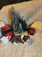 processed/537dfca2-a479-459e-9644-50c56258738c/listing/d0aa891a-c1d0-4e87-8b57-7bb58ac4dd8b/07c5146d-7754-41d5-8988-25f757ead93e