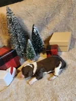 processed/537dfca2-a479-459e-9644-50c56258738c/listing/d0aa891a-c1d0-4e87-8b57-7bb58ac4dd8b/15521f35-e266-4db6-b0a6-4e60435069aa