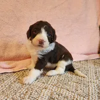 processed/537dfca2-a479-459e-9644-50c56258738c/listing/d0aa891a-c1d0-4e87-8b57-7bb58ac4dd8b/c747c1a9-493f-44f1-b30c-5aea8faf9e5f