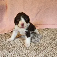 processed/537dfca2-a479-459e-9644-50c56258738c/listing/d0aa891a-c1d0-4e87-8b57-7bb58ac4dd8b/f3727e29-8fa0-4034-93a5-5c43df69952e