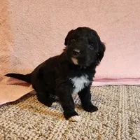 processed/537dfca2-a479-459e-9644-50c56258738c/listing/f8f32e57-7bf4-4243-9e8a-fba3421edc55/078206cc-29c0-4d95-a1a3-62f9bb301a16