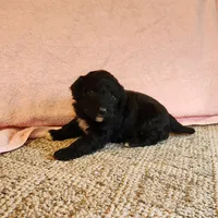 processed/537dfca2-a479-459e-9644-50c56258738c/listing/f8f32e57-7bf4-4243-9e8a-fba3421edc55/b693b03e-b7a4-4b84-9096-84d5fc084030