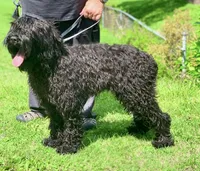 processed/538253a8-3ad3-4c76-9da5-e625e778cb23/listing/2e52ddf5-7c43-47e5-ad11-f08053eec8cb/6bf419c3-ed4d-4998-8dcf-035a47a06cbb