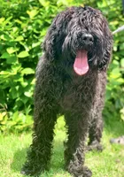 processed/538253a8-3ad3-4c76-9da5-e625e778cb23/listing/2e52ddf5-7c43-47e5-ad11-f08053eec8cb/a5b69772-12bb-42e9-bb19-8c7dd028227f