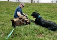 processed/538253a8-3ad3-4c76-9da5-e625e778cb23/listing/2e52ddf5-7c43-47e5-ad11-f08053eec8cb/ad03a5da-f6bb-4db4-b79f-90ba142d987e