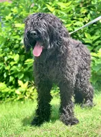 processed/538253a8-3ad3-4c76-9da5-e625e778cb23/listing/2e52ddf5-7c43-47e5-ad11-f08053eec8cb/b8c6b69b-2d89-4051-a6b4-743bb67b6873