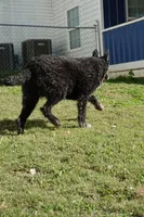 processed/538253a8-3ad3-4c76-9da5-e625e778cb23/listing/54e06c94-d12e-48ac-99f8-f001f6f7adb3/51bd28dd-8fc8-40a2-9794-89d9960c4fe2