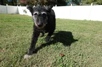 processed/538253a8-3ad3-4c76-9da5-e625e778cb23/listing/54e06c94-d12e-48ac-99f8-f001f6f7adb3/5a6f34f4-e090-4a66-972e-c8096e33de76